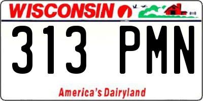 WI license plate 313PMN