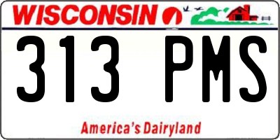 WI license plate 313PMS