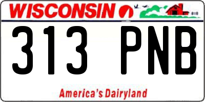 WI license plate 313PNB