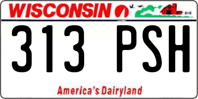 WI license plate 313PSH