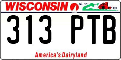 WI license plate 313PTB