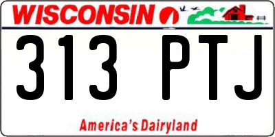 WI license plate 313PTJ