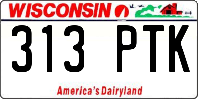 WI license plate 313PTK