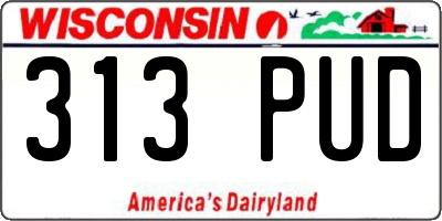 WI license plate 313PUD
