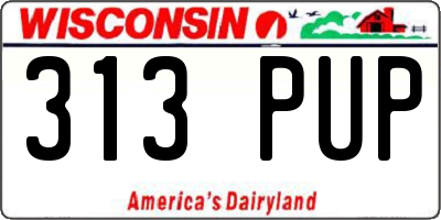 WI license plate 313PUP