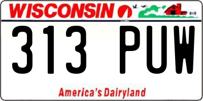 WI license plate 313PUW