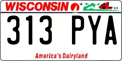 WI license plate 313PYA