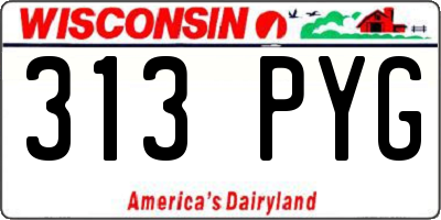 WI license plate 313PYG