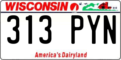WI license plate 313PYN