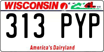 WI license plate 313PYP