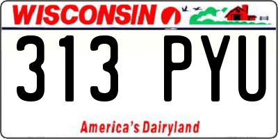 WI license plate 313PYU