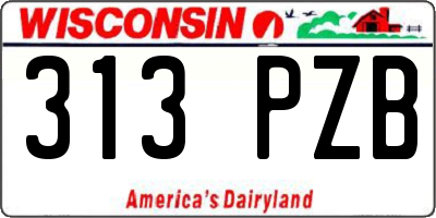 WI license plate 313PZB