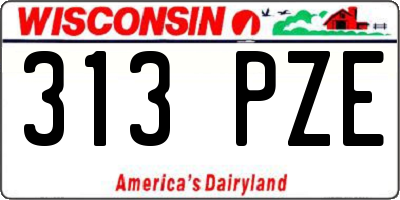 WI license plate 313PZE