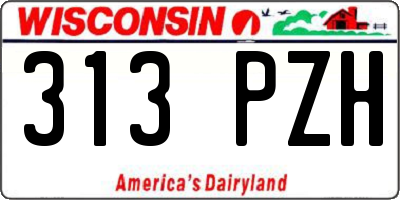 WI license plate 313PZH