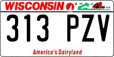 WI license plate 313PZV