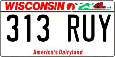 WI license plate 313RUY