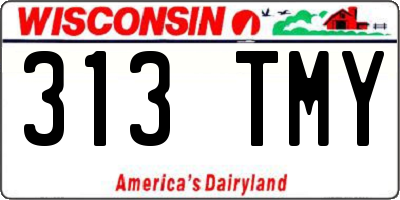 WI license plate 313TMY