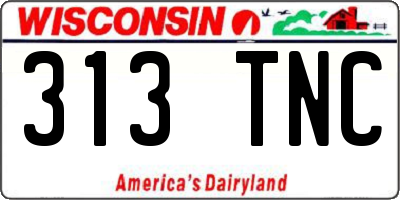WI license plate 313TNC