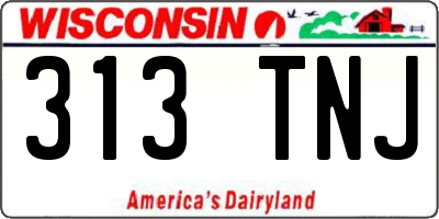 WI license plate 313TNJ
