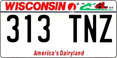 WI license plate 313TNZ