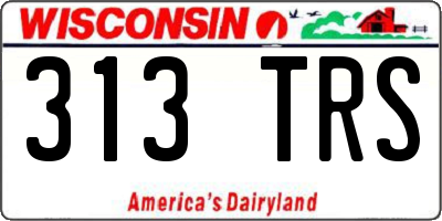 WI license plate 313TRS