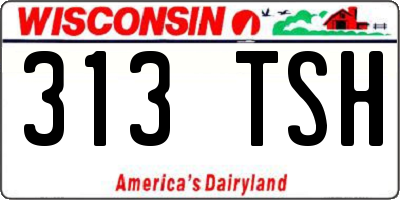 WI license plate 313TSH