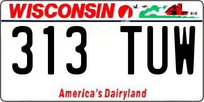 WI license plate 313TUW