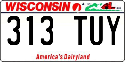 WI license plate 313TUY