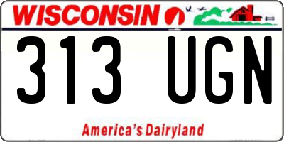 WI license plate 313UGN
