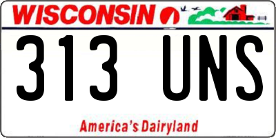 WI license plate 313UNS