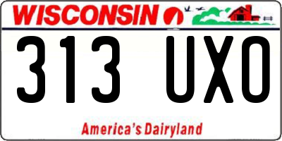 WI license plate 313UXO