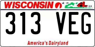 WI license plate 313VEG