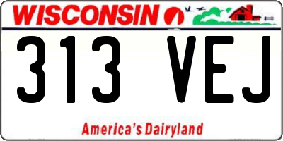WI license plate 313VEJ