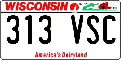 WI license plate 313VSC
