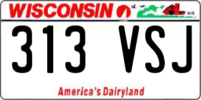 WI license plate 313VSJ