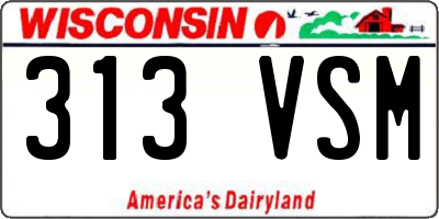 WI license plate 313VSM