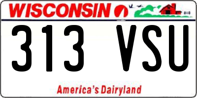 WI license plate 313VSU