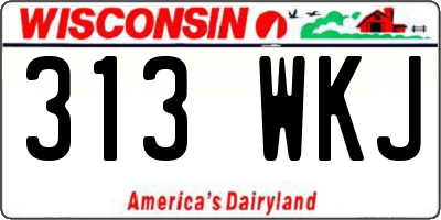 WI license plate 313WKJ