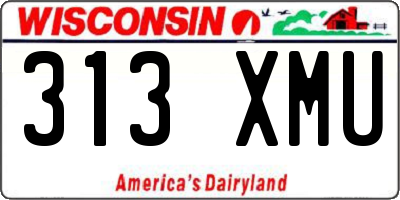 WI license plate 313XMU