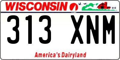 WI license plate 313XNM
