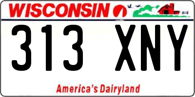 WI license plate 313XNY