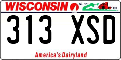 WI license plate 313XSD
