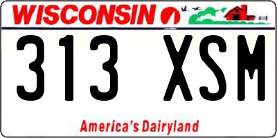 WI license plate 313XSM