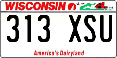 WI license plate 313XSU