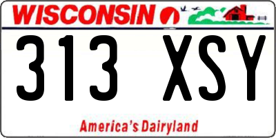 WI license plate 313XSY