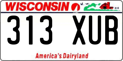 WI license plate 313XUB