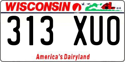 WI license plate 313XUO