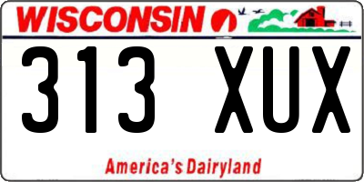 WI license plate 313XUX