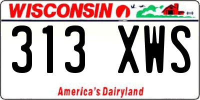 WI license plate 313XWS