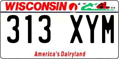 WI license plate 313XYM